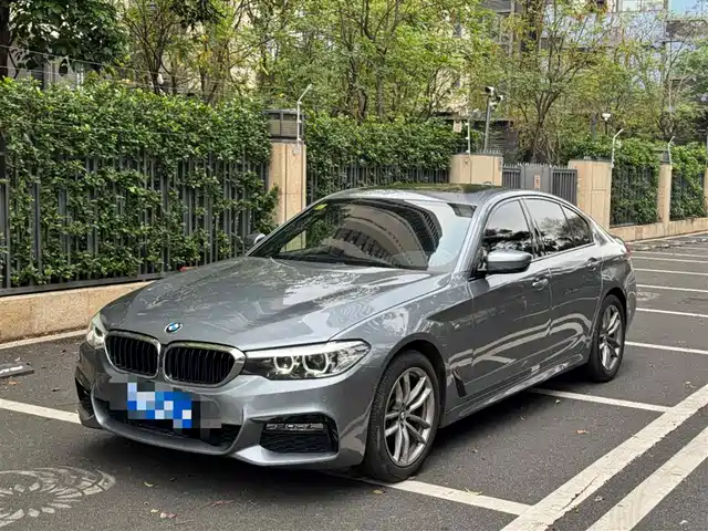 BMW 5 SERIES