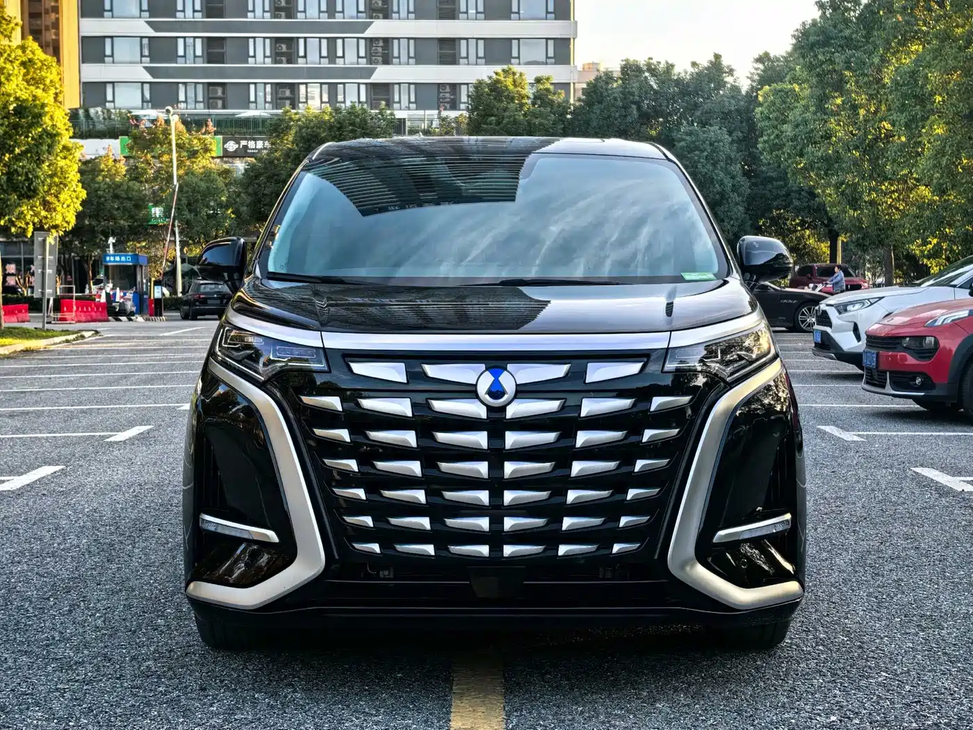 Denza D9 2024 DM-i 980 AWD Prestige фото 2
