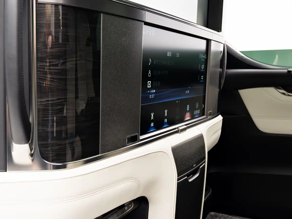 Lexus LM 2020 300h 4-Seat Imperial Edition фото 16