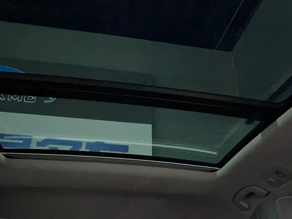 Volkswagen Magotan 2019 330TSI DSG Luxury China V фото 17