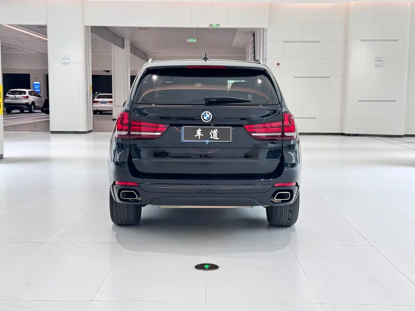 BMW X5 (Import) 2014 xDrive35i Elegance фото 8