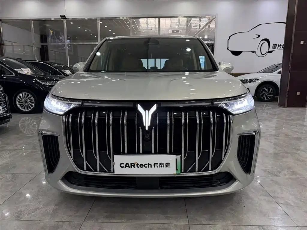 Voyah Auto Voyah Dreamer 2024 PHEV Extended Range Flagship Edition фото 2