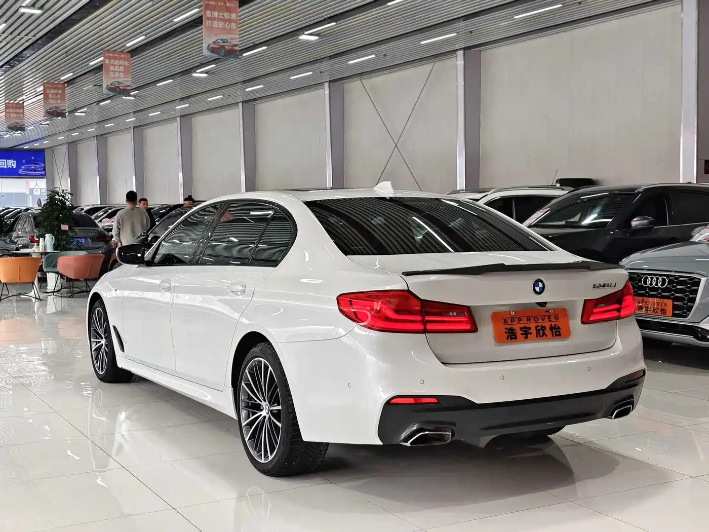 BMW 5 Series 2019 530Li Premium M Sport Package фото 6