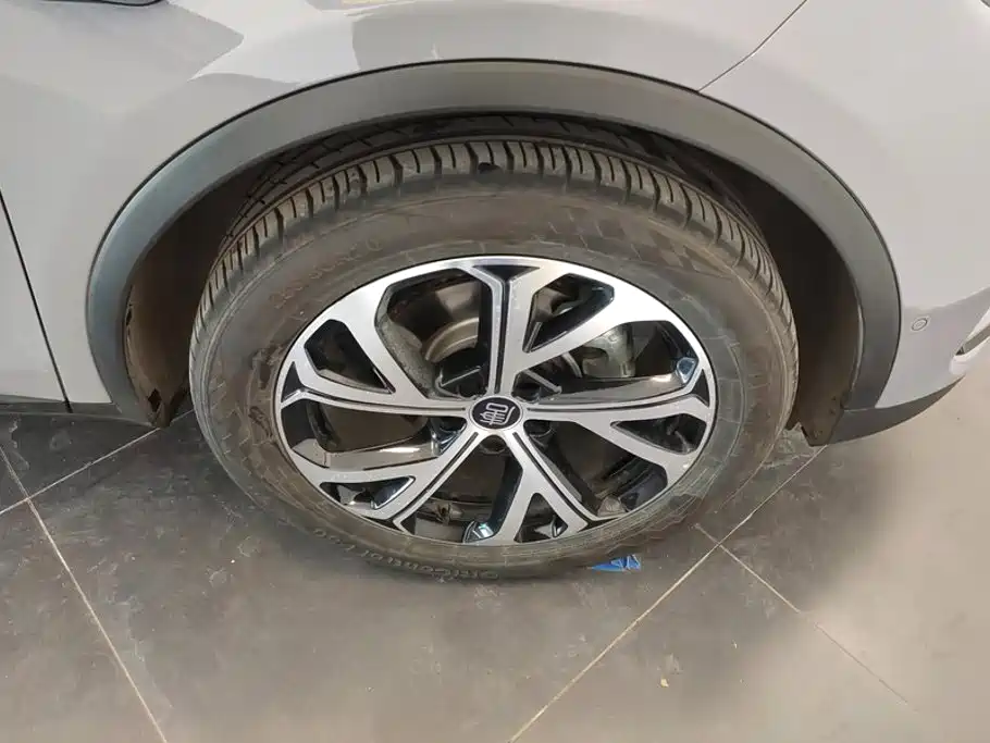 BYD Tang New Energy 2025 2025 Smart Driving Edition DM-i 115KM Flagship