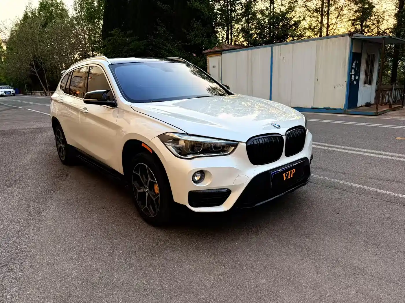 BMW X1 2016 xDrive20Li Luxury Model фото 2