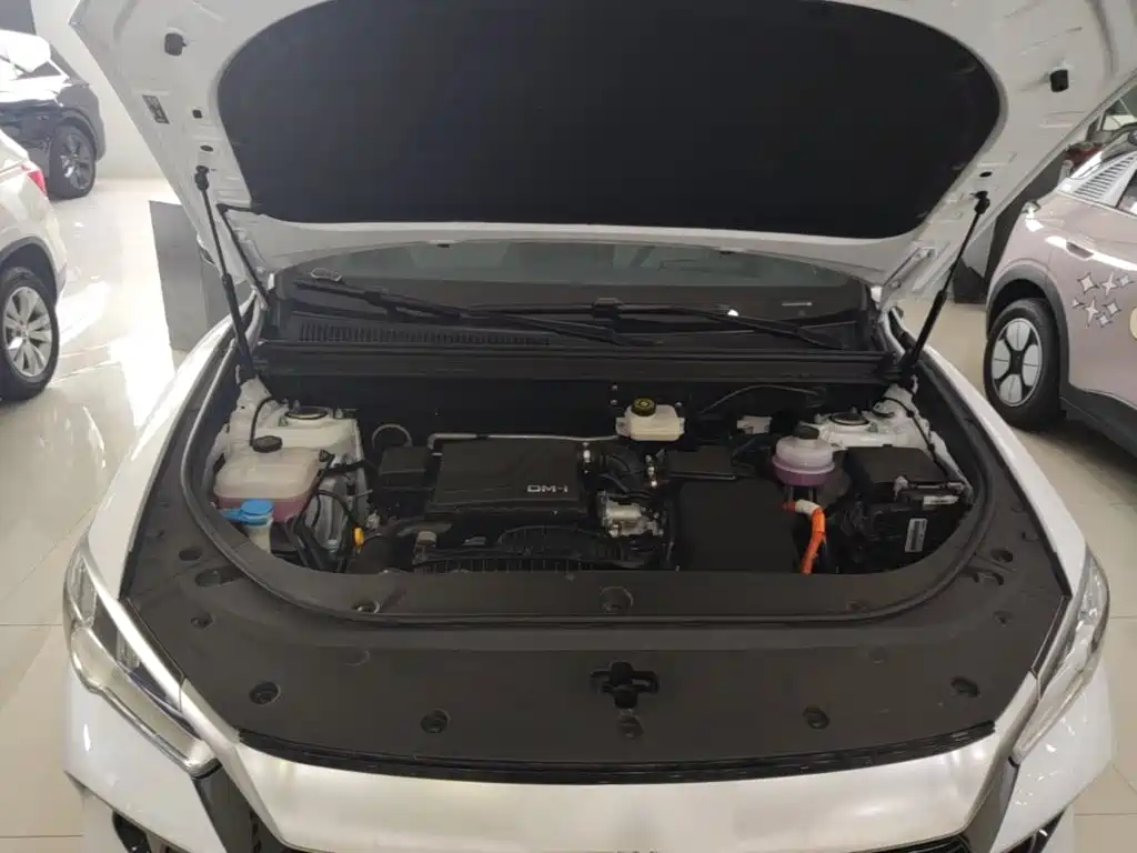 BYD Song Pro New Energy 2025 2024 Glory Edition DM-i 71KM Pilot