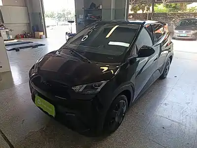 BYD Seagull