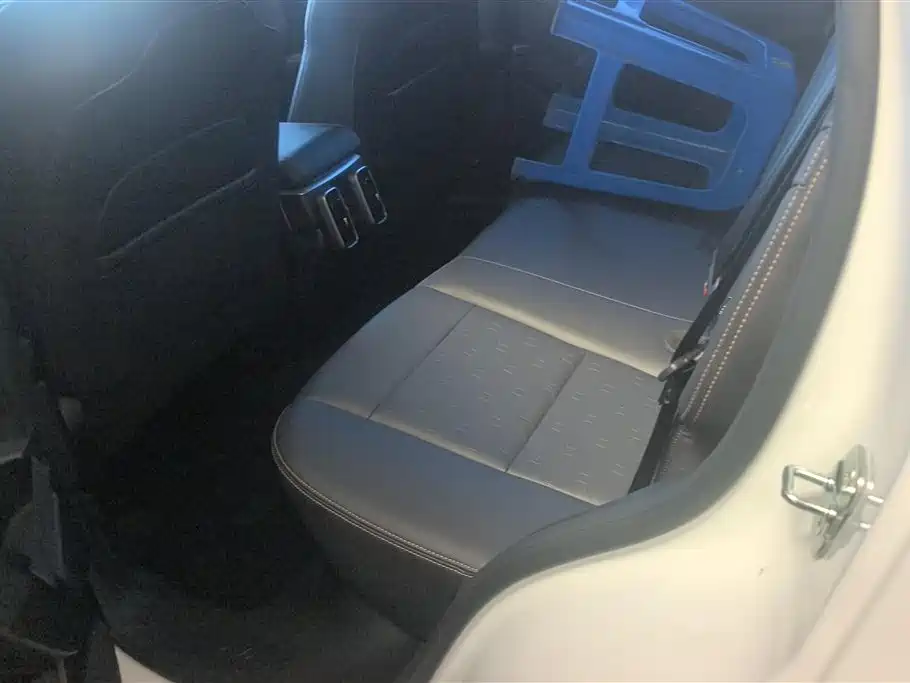Haval Big Dog 2024 1.5T DCT Border Collie Edition фото 11
