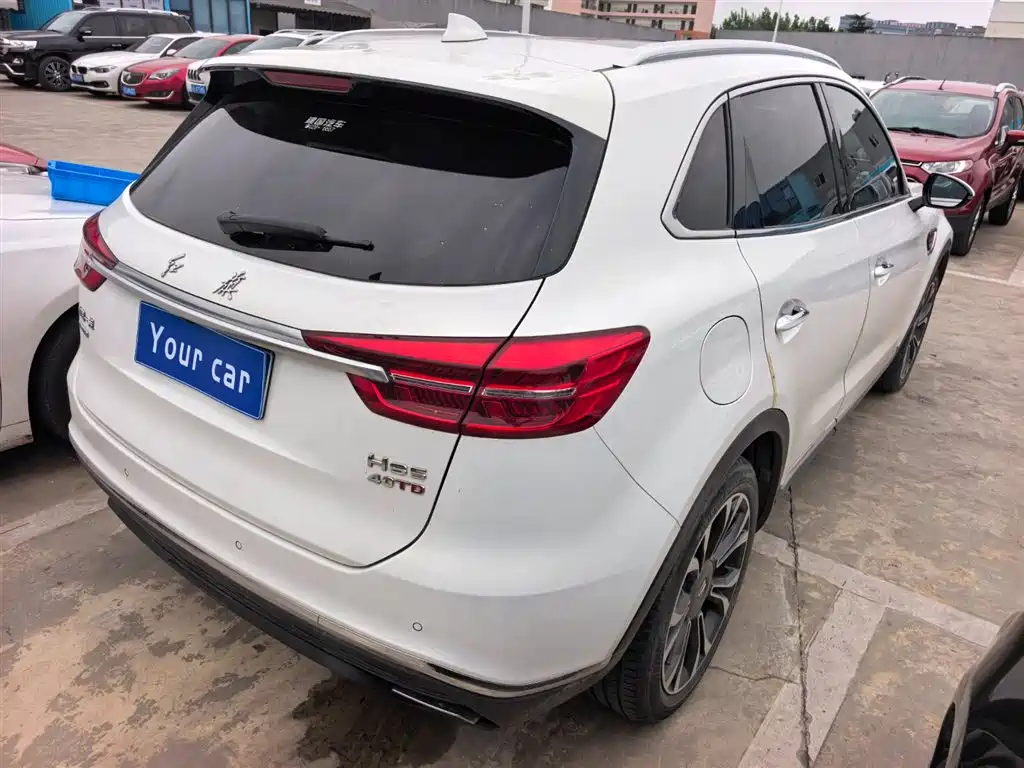 Hongqi HS5 2019 2.0T Smart Connect Enjoy 4WD Edition фото 6