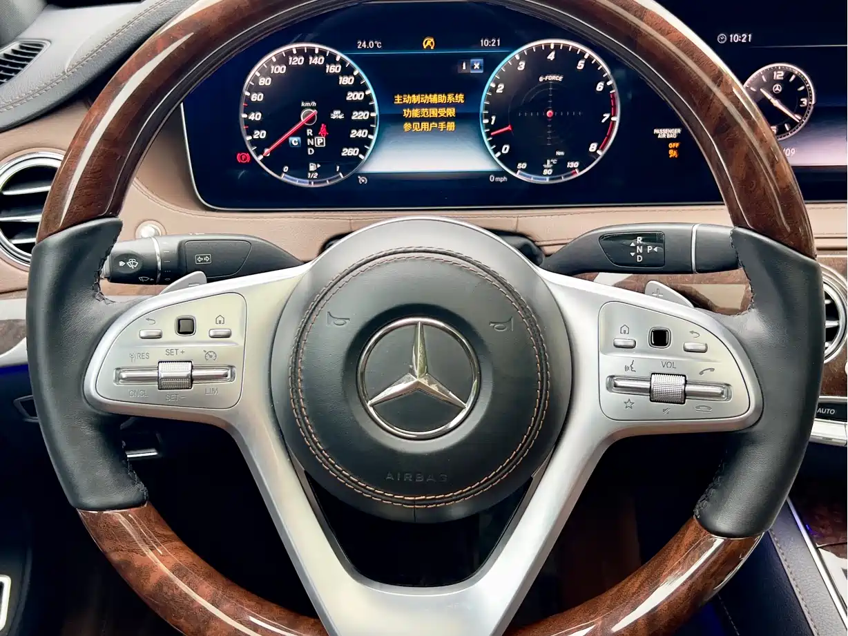 Mercedes-Benz S-Class 2019 S 450 L фото 12