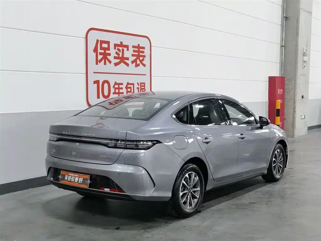 BYD Destroyer 05 2024 Glory Edition DM-i 55KM Luxury фото 2
