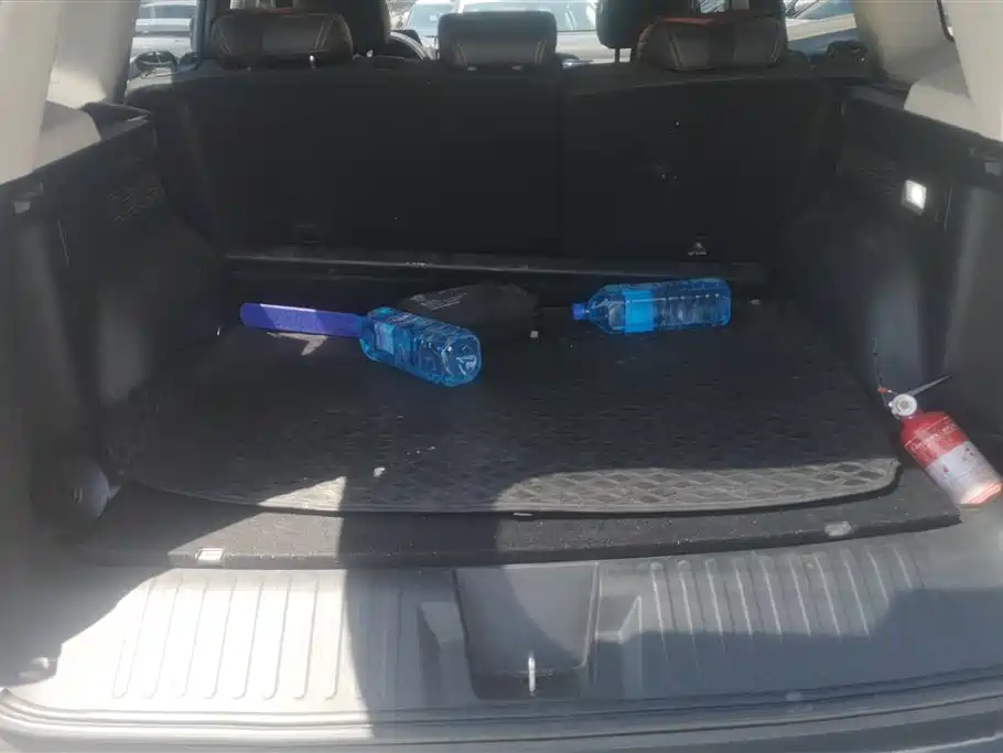 Haval Big Dog 2021 1.5T DCT 2WD Border Collie Edition фото 4