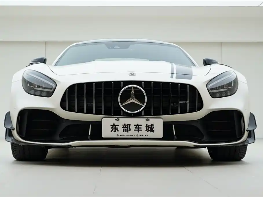 Mercedes-Benz AMG GT 2019 AMG GT R PRO фото 2