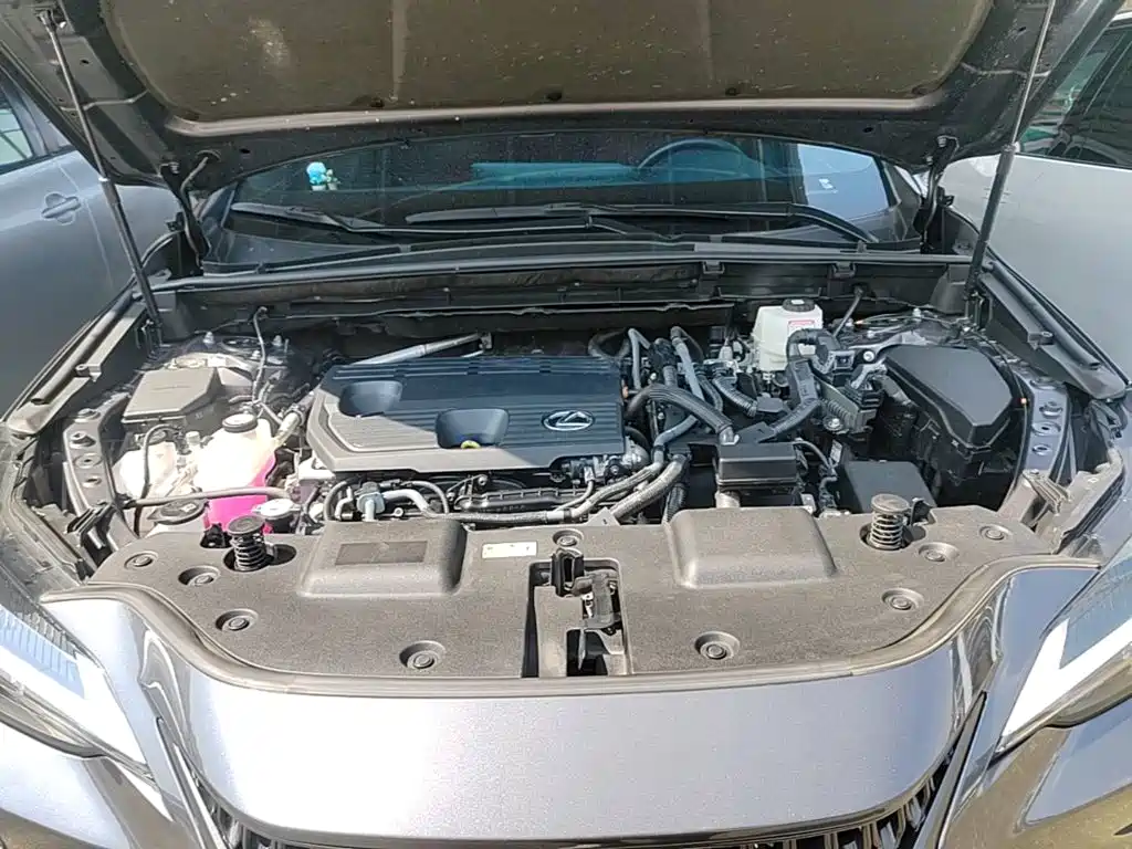 Lexus NX 2024 2024 350h FWD Joy Creation Edition
