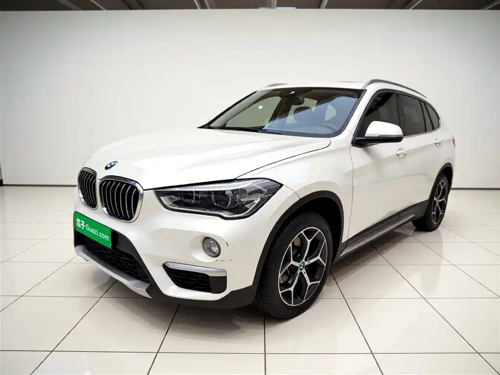 BMW X1 2019 xDrive20Li Premium Model фото 2
