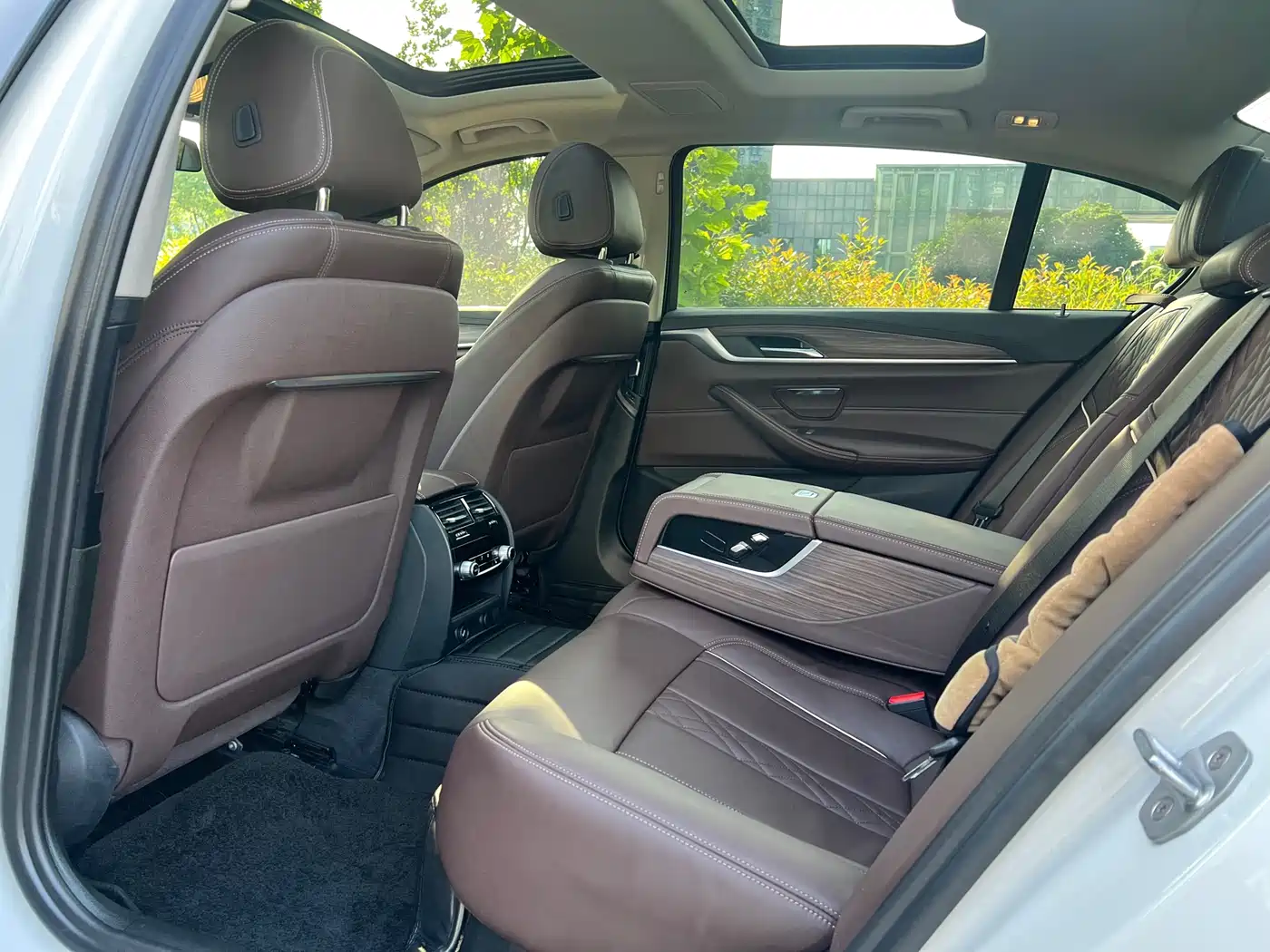 BMW 5 Series 2019 530Li Leading Luxury Package фото 8