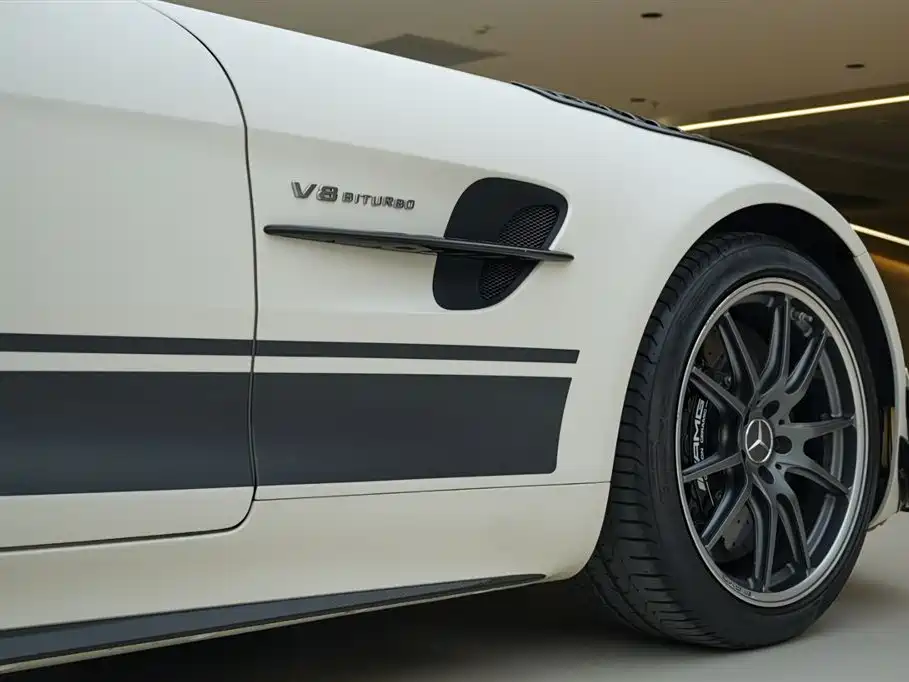 Mercedes-Benz AMG GT 2019 AMG GT R PRO фото 16