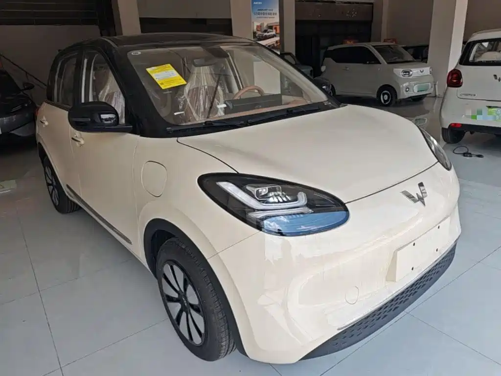 Wuling Motors Wuling Bingo 2026 2025 Model 333km Joy Edition