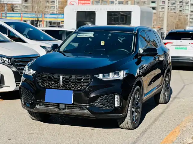 WEI PAI WEI BRAND VV6