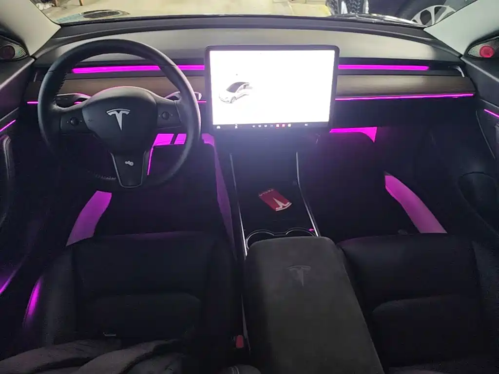 Tesla Model 3 2020 2020 Standard Range Rear-Wheel Drive Upgrade