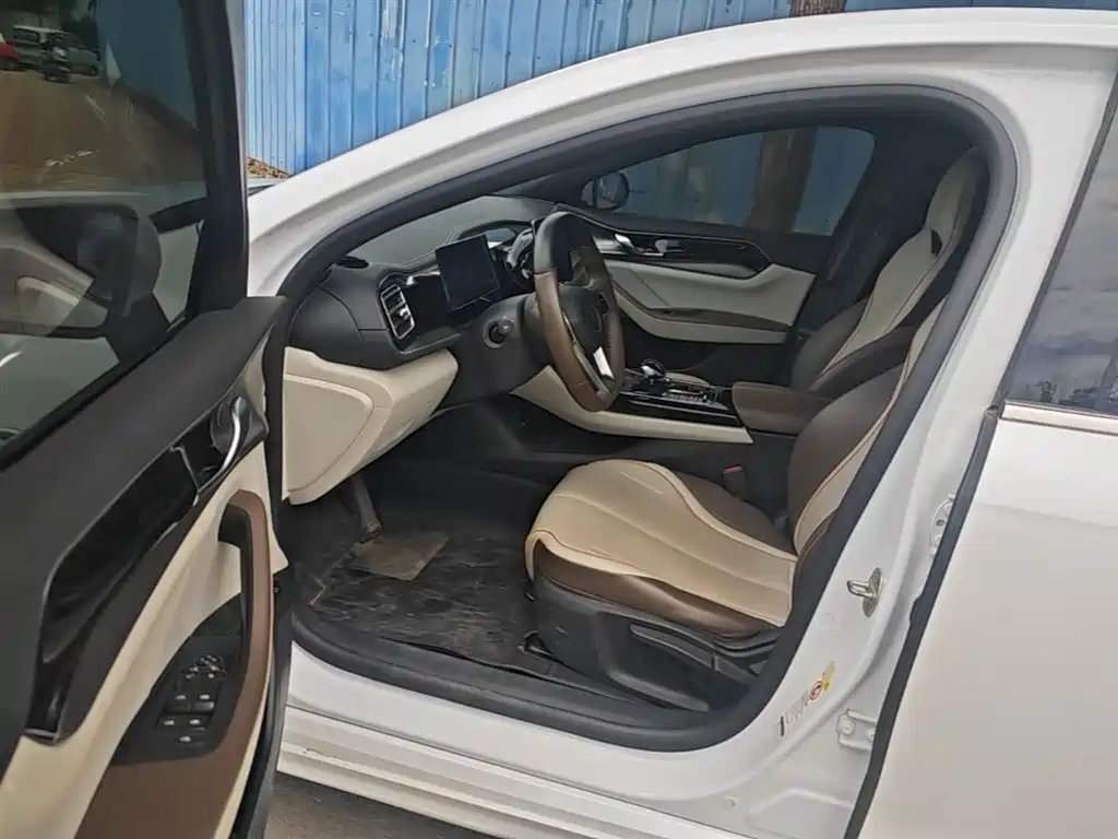 BYD Qin PLUS 2023 Champion Edition DM-i 120KM Leading Type фото 16
