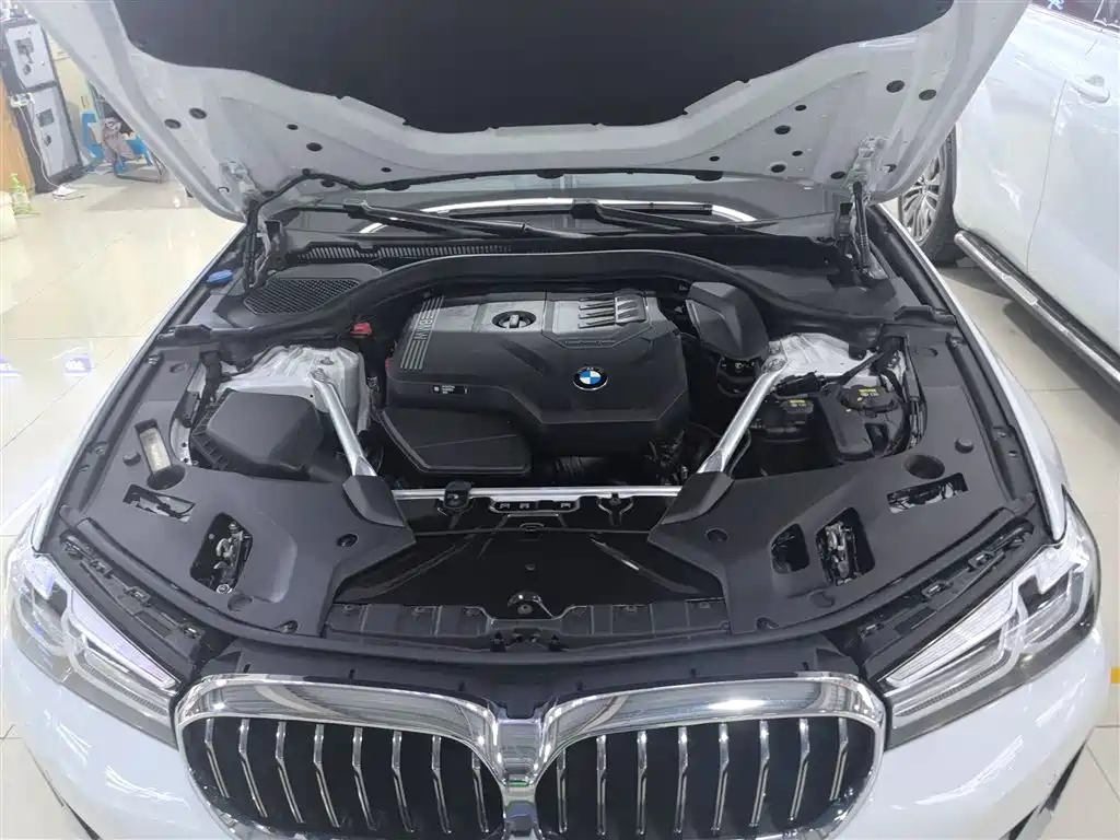 BMW 5 Series 2021 530Li Leading Luxury Package фото 20