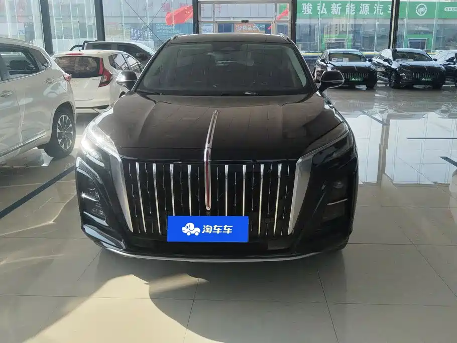 Hongqi HS3 2024 2024 1.5T Virtue Edition
