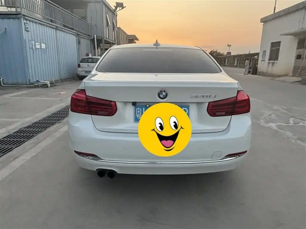 BMW 3 Series 2017 320Li Fashion фото 4