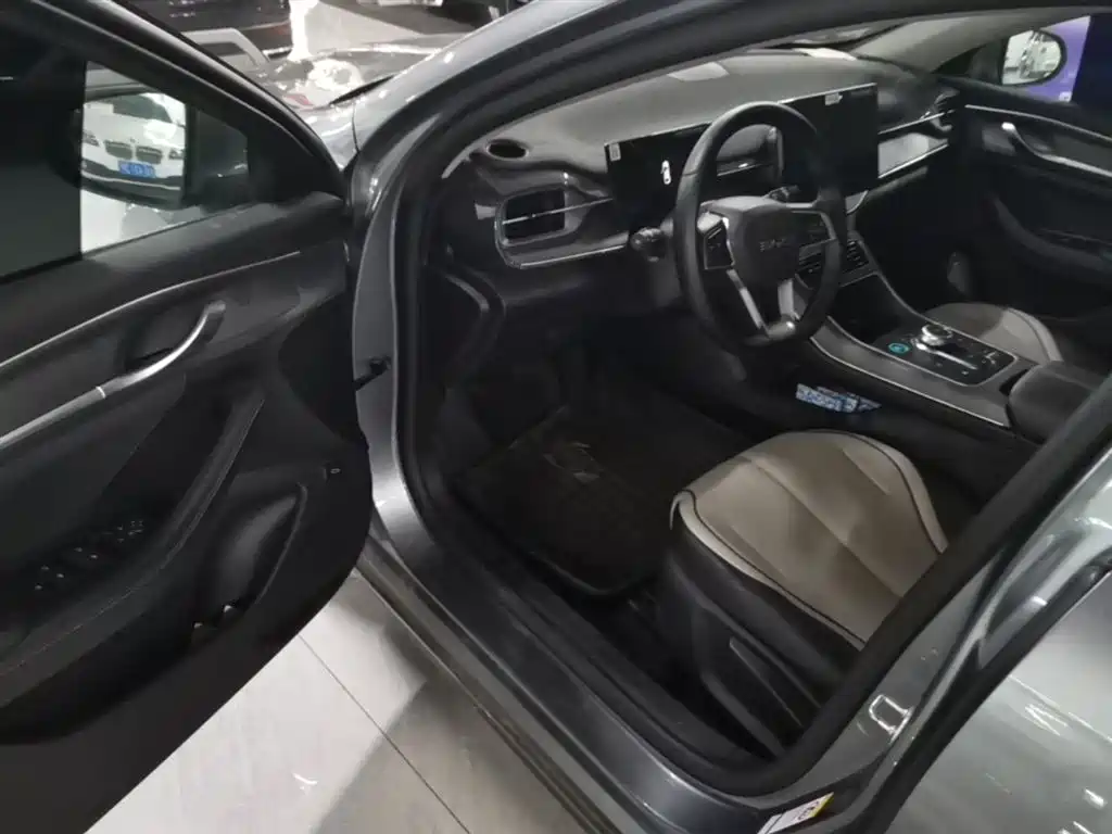 BYD Destroyer 05 2024 Glory Edition DM-i 55KM Luxury фото 16