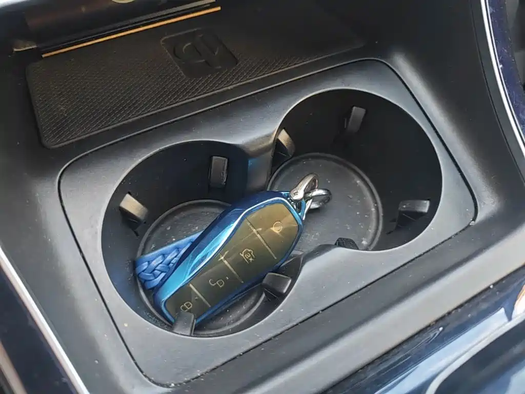 BYD Qin PLUS 2021 DM-i 55KM Flagship фото 9