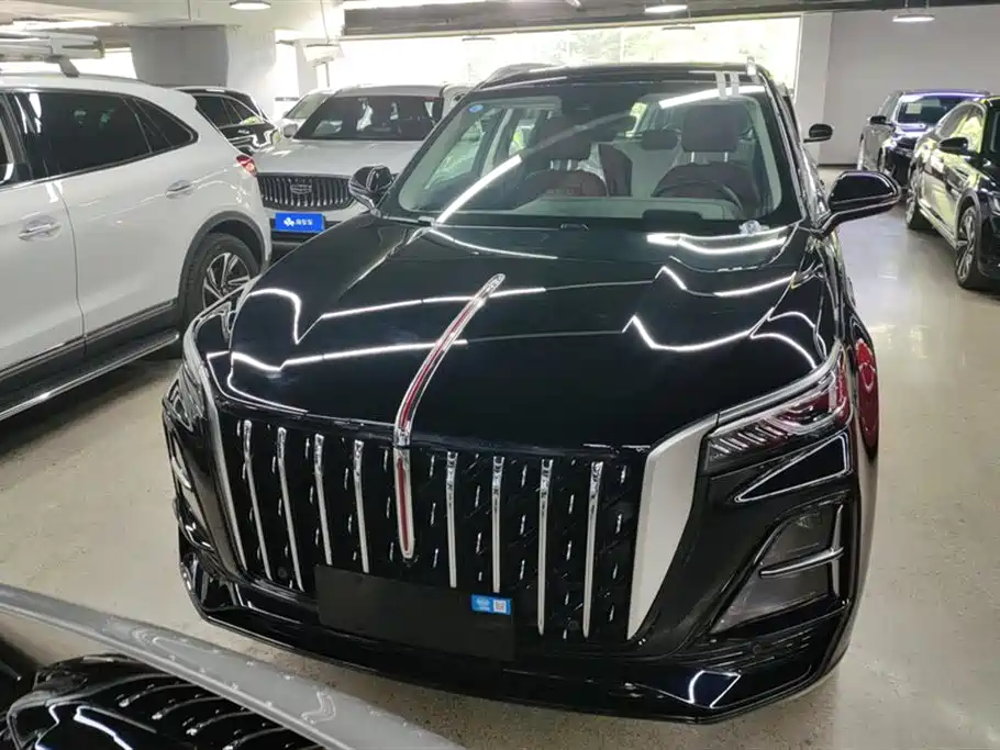 Hongqi HS5 2025 2.0T 2WD Qixiang Pro фото 2