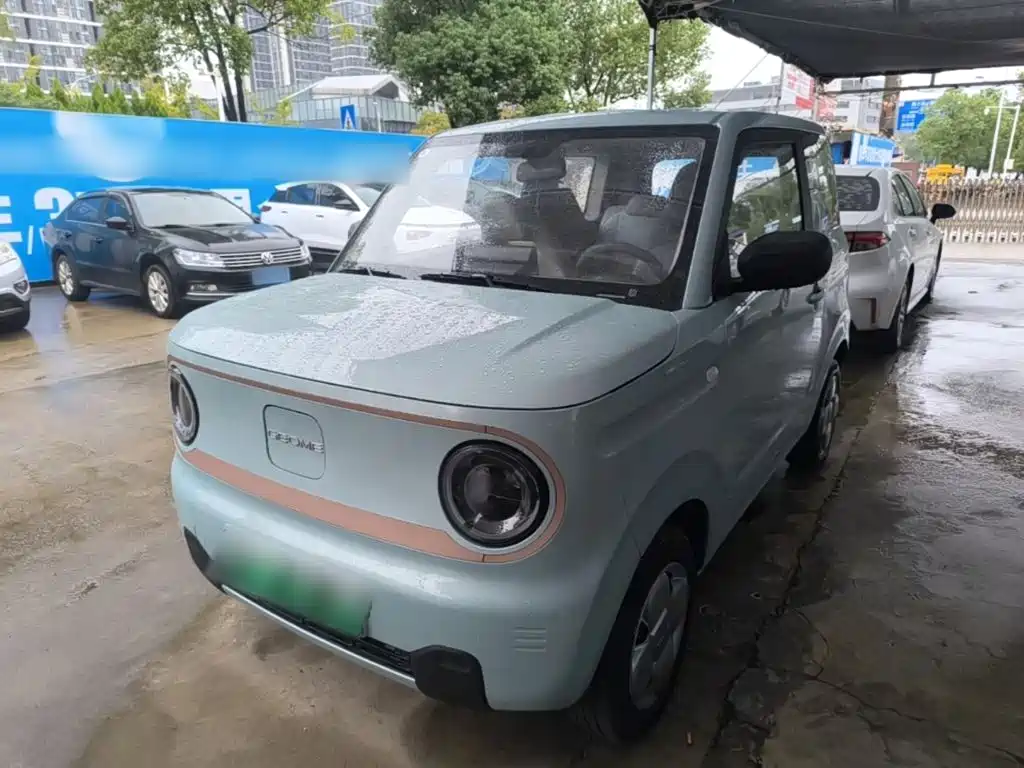 Geely Galaxy Panda 2025 Panda mini 210km Vitality Bear
