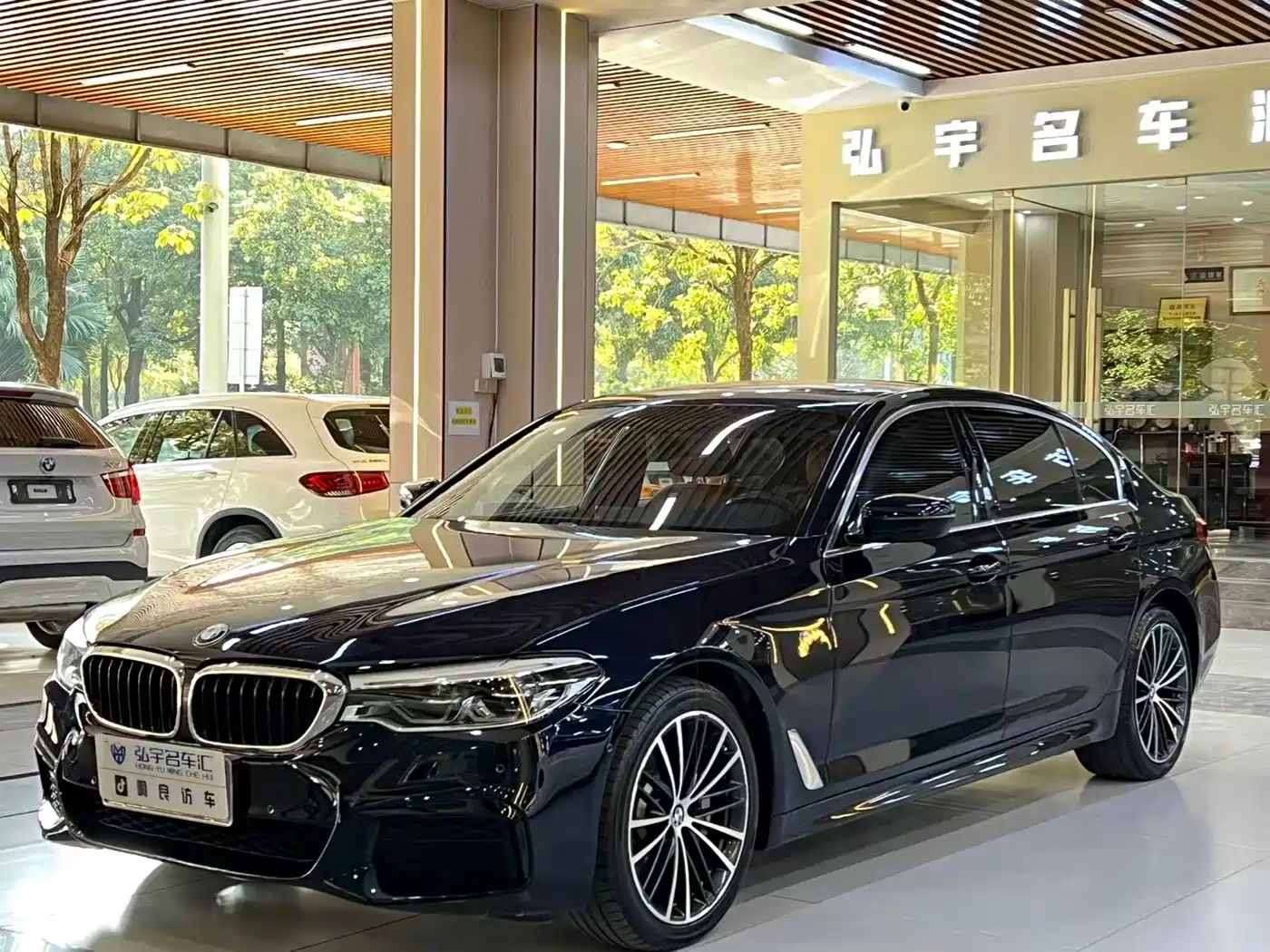 BMW 5 Series 2020 530Li Leading M Sport Package