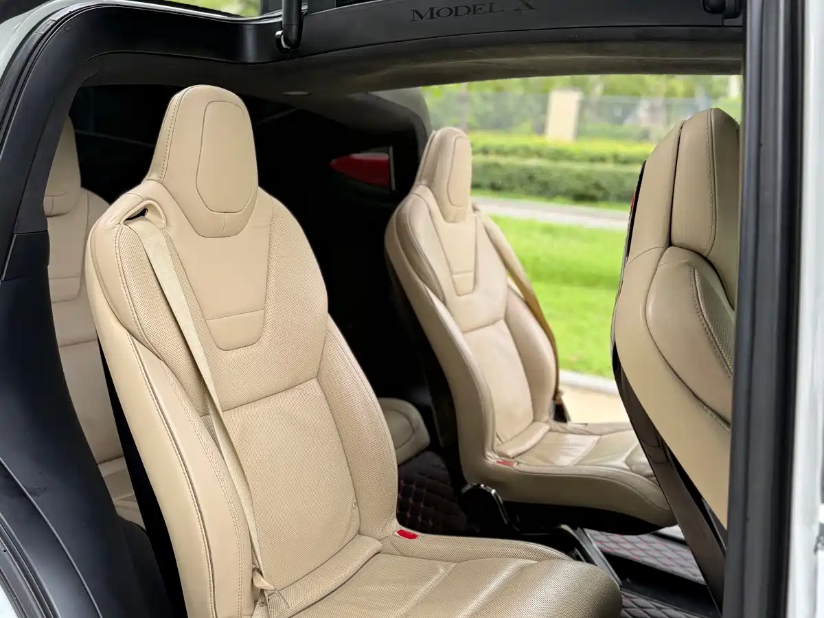 Фото 5 - Tesla Model X