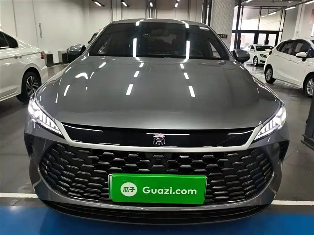 BYD Qin PLUS 2025 DM-i Smart Drive 55KM Leader фото 3