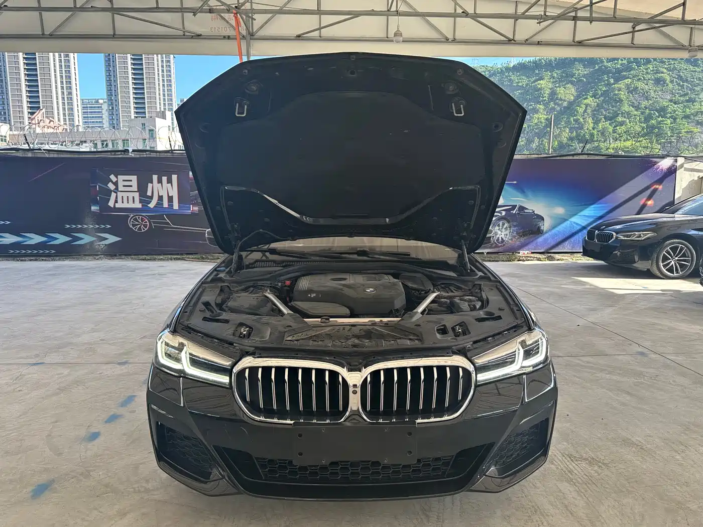 BMW 5 Series 2021 530Li Leading Luxury Package фото 15