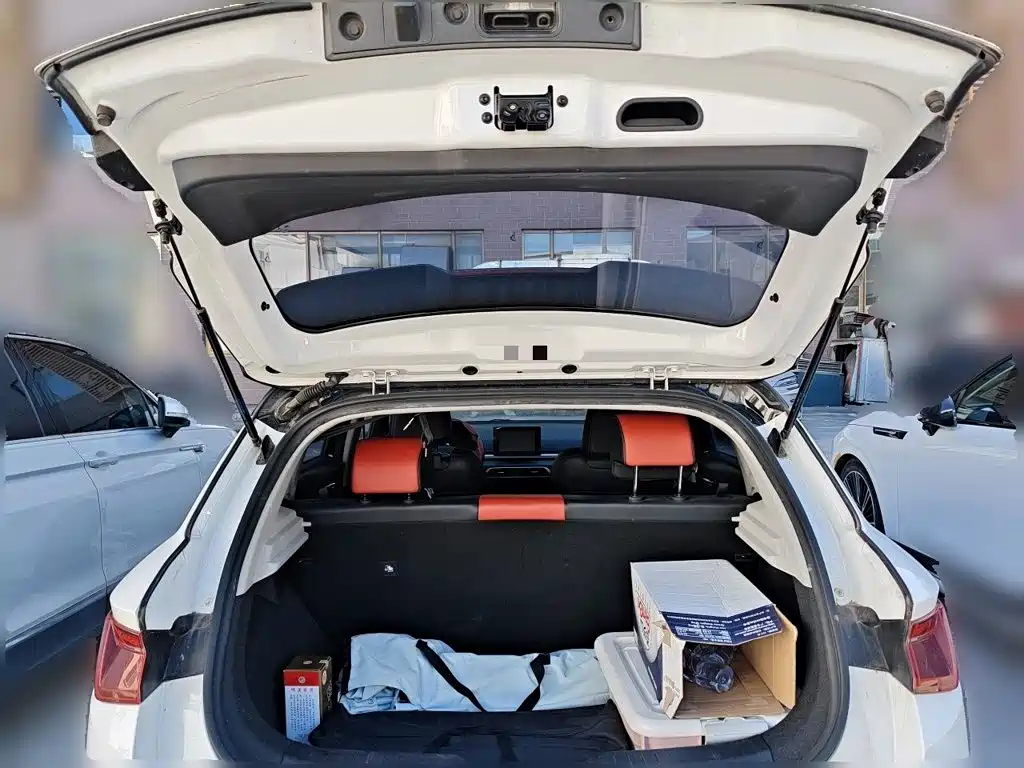 BYD e2 2020 2019 Standard Range Intelligent Comfort