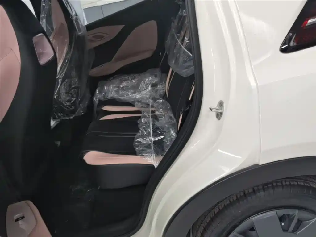 BYD Seagull 2025 Smart Drive Edition 305km Vitality Version фото 17