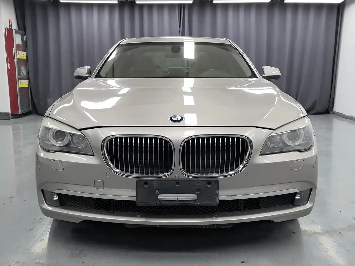 BMW 7 Series 2009 730Li Luxury фото 2