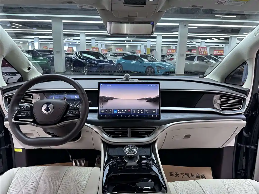 Denza D9 2024 DM-i 980 AWD Flagship фото 8