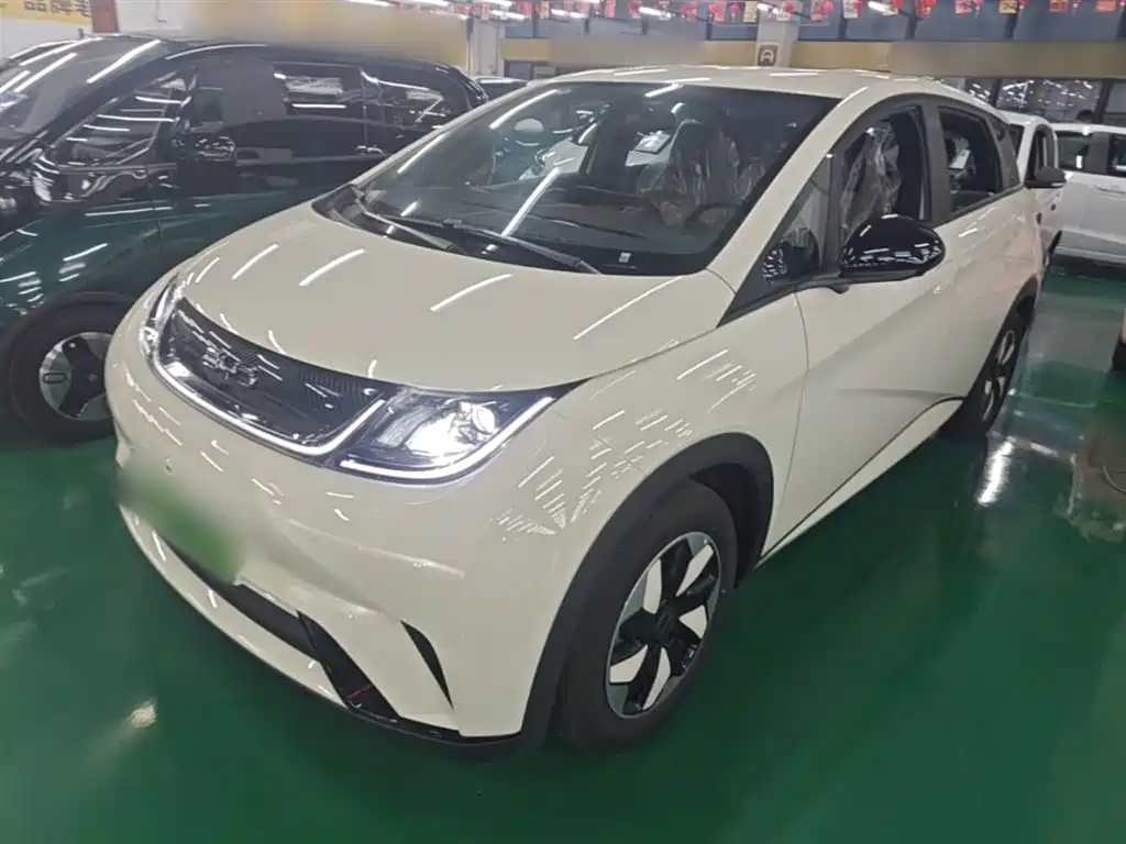 BYD Dolphin 2025 420km Freedom Edition