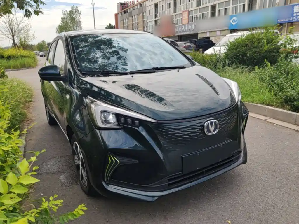 Changan Benben E-Star 2021 2020 Heartbeat Edition (NMC Battery)