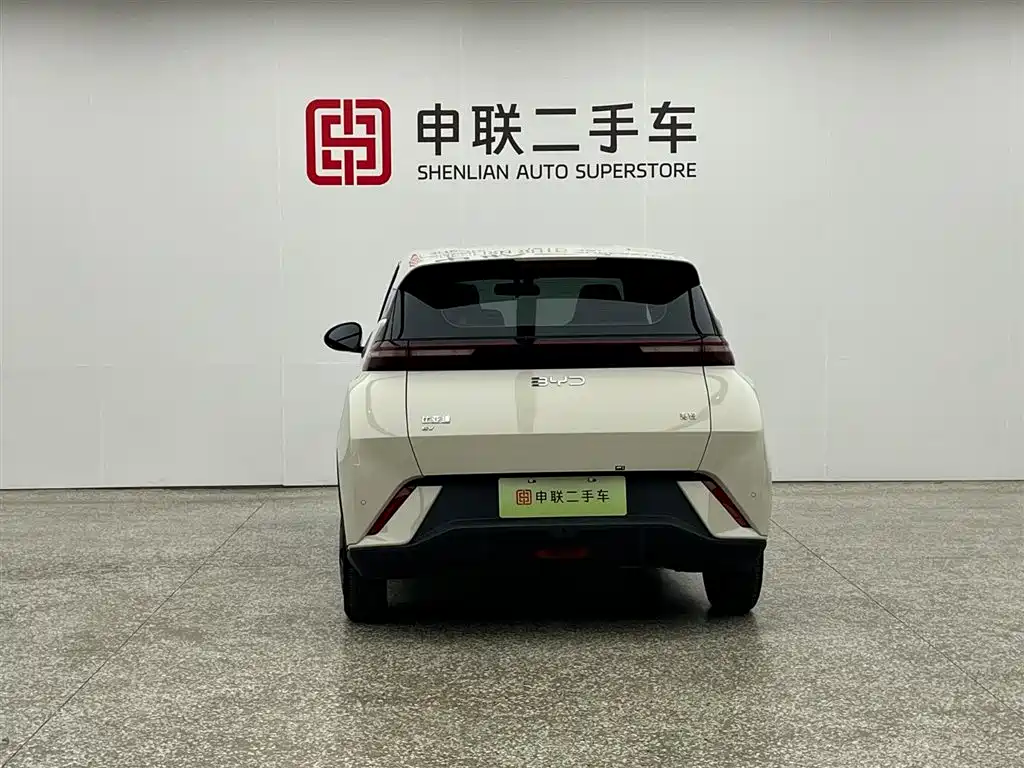 BYD Seagull 2025 305km Vitality фото 2