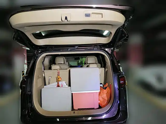 Buick GL8 2021 ES Landlord 653T Luxury — фото 5
