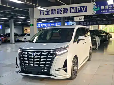 Denza D9
