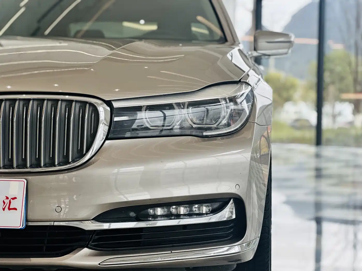 BMW 7 Series 2018 730Li Leading Type Excellence Package фото 6