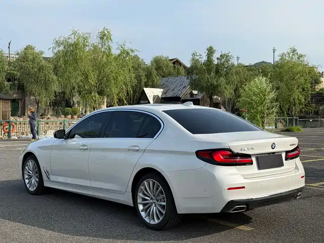 BMW 5 Series 2021 530Li Executive Luxury Package — фото 5