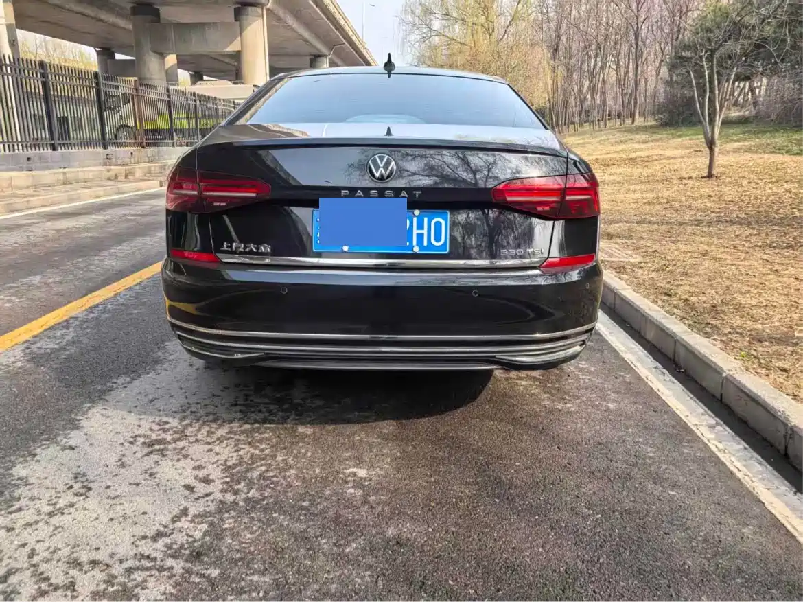 Volkswagen Passat 2020 330TSI Luxury Edition China VI фото 5