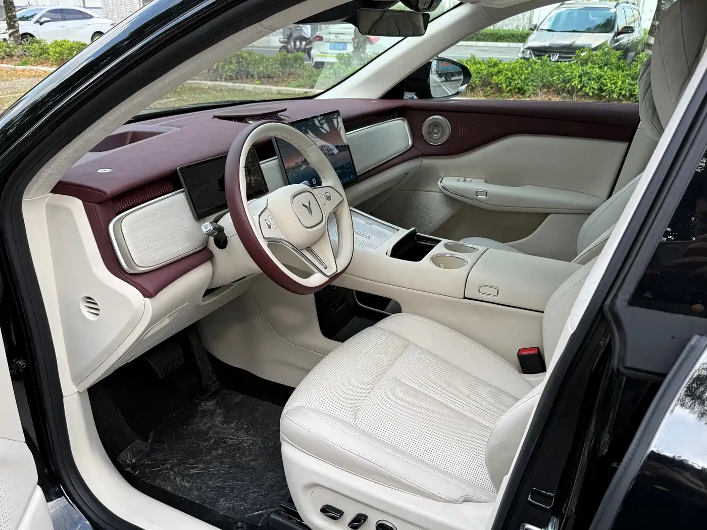 Voyah Auto Voyah Zhiyin 2025 Base фото 8