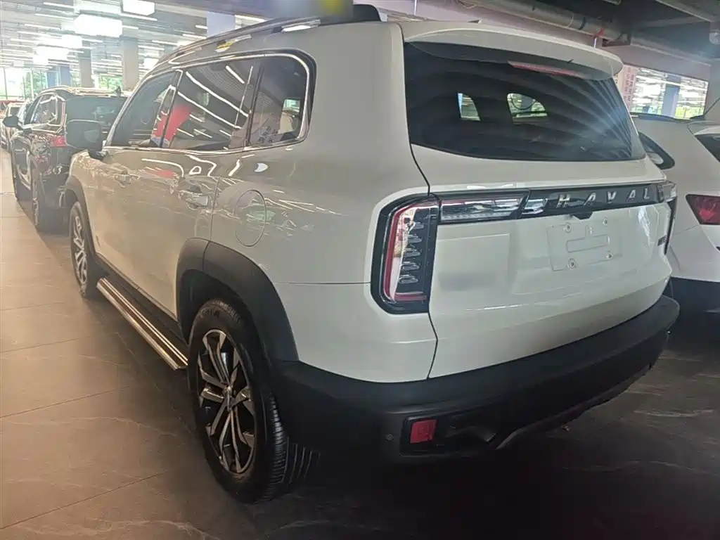 Haval Big Dog 2022 1.5T DCT FWD Border Collie Edition фото 5